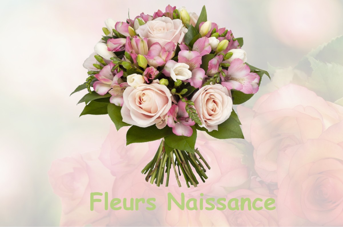 fleurs naissance FONTENAY-DE-BOSSERY